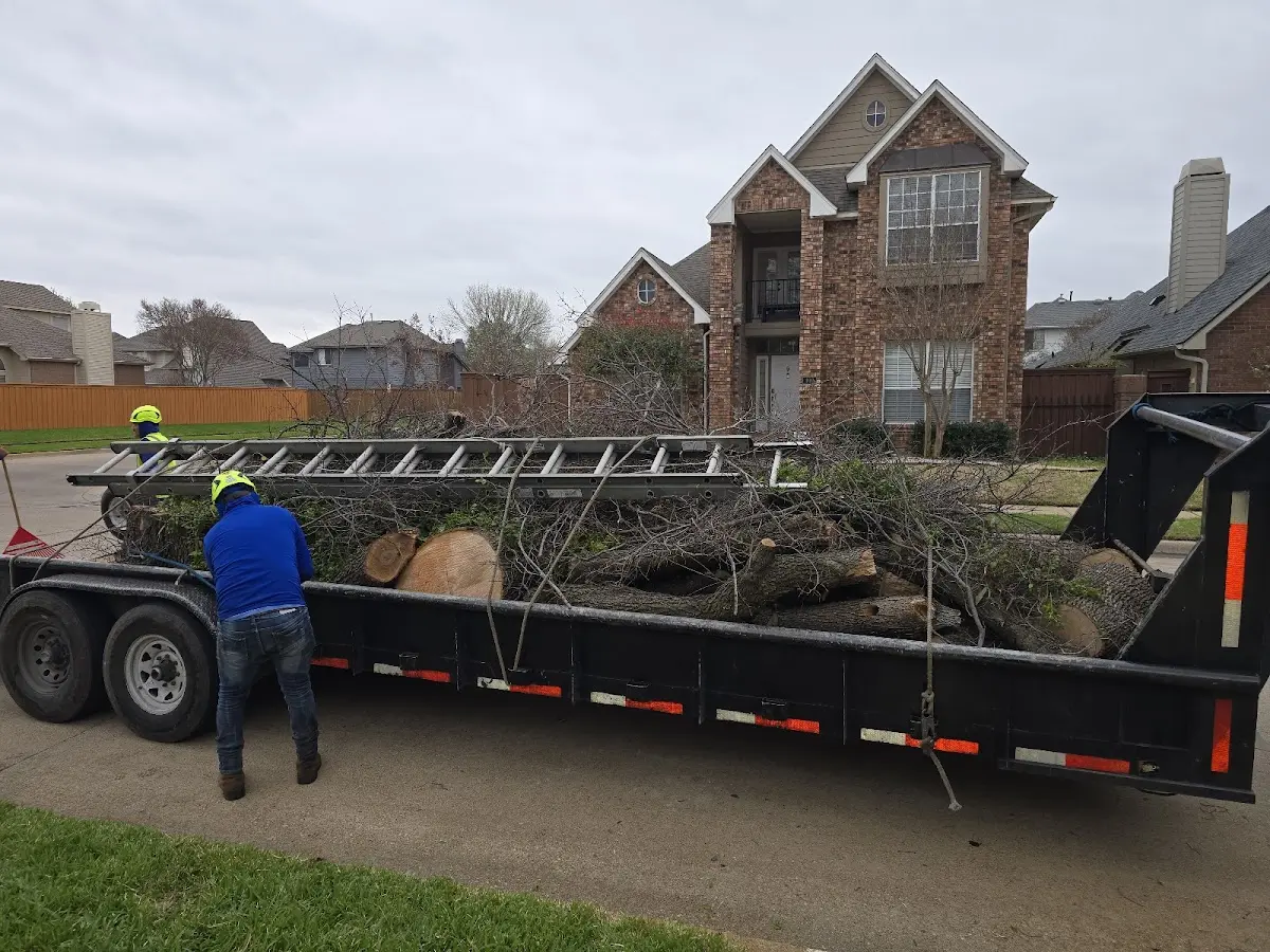 Expert Tree Fertilization with proper safety equipment in Richmond